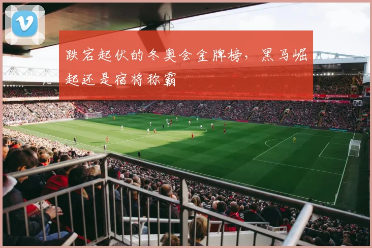 跌宕起伏的冬奥会金牌榜，黑马崛起还是宿将称霸