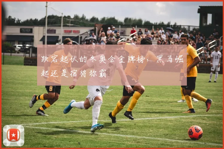 跌宕起伏的冬奥会金牌榜，黑马崛起还是宿将称霸