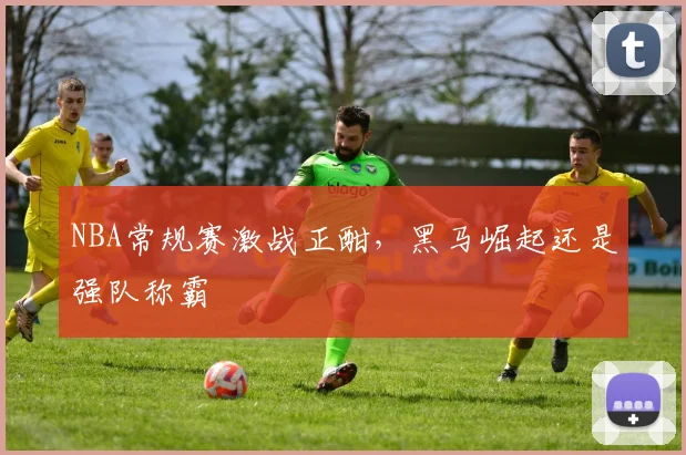 NBA常规赛激战正酣，黑马崛起还是强队称霸