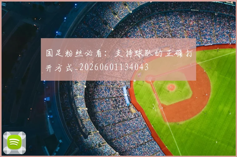国足粉丝必看：支持球队的正确打开方式_20260601134043