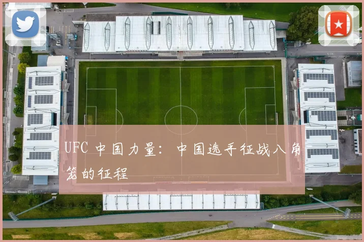 UFC 中国力量：中国选手征战八角笼的征程