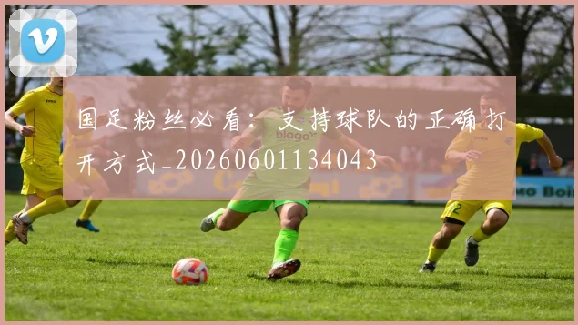 国足粉丝必看：支持球队的正确打开方式_20260601134043